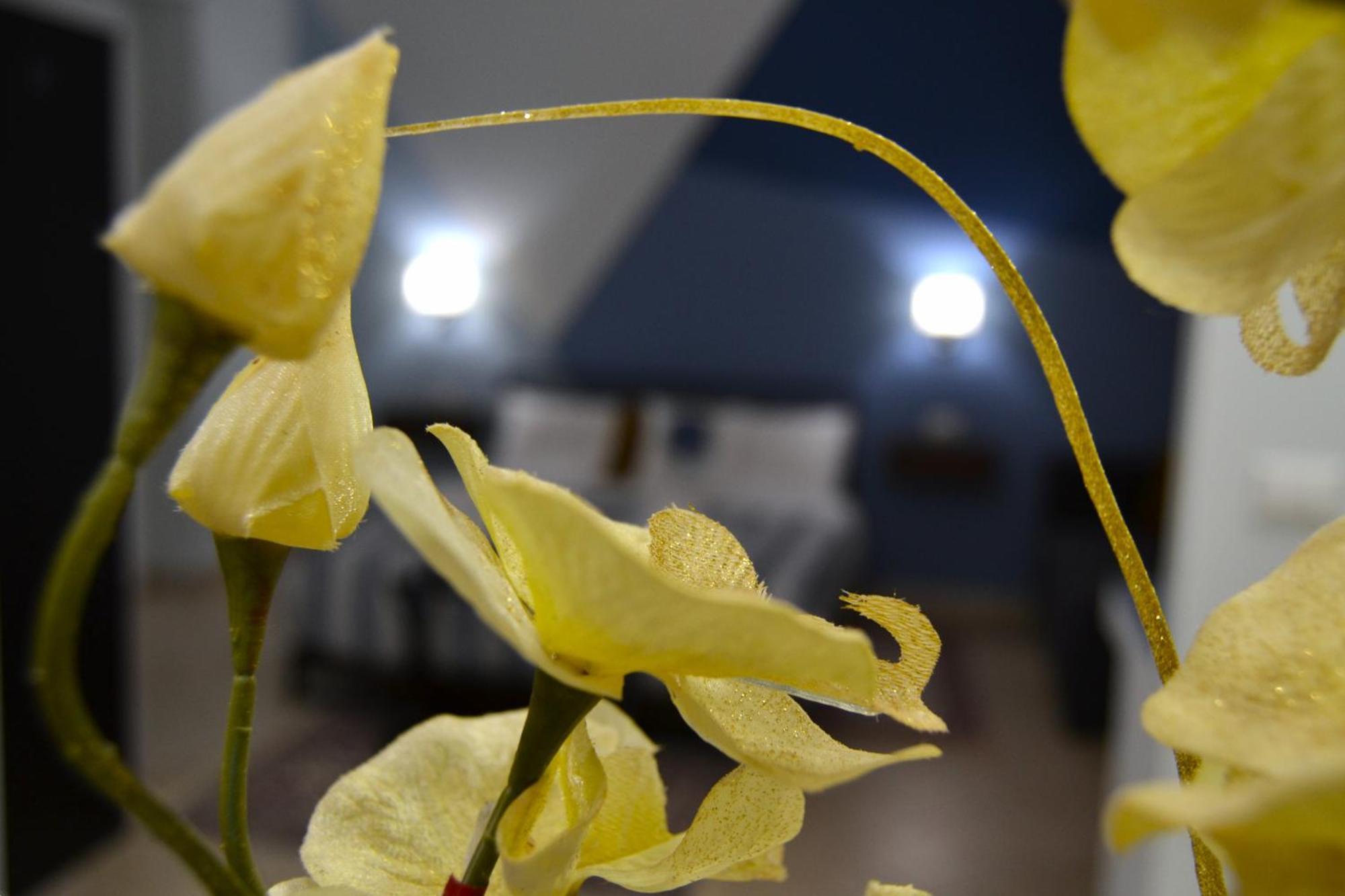 Casa Grazia - Guest House - Reggio di Calabria Luaran gambar